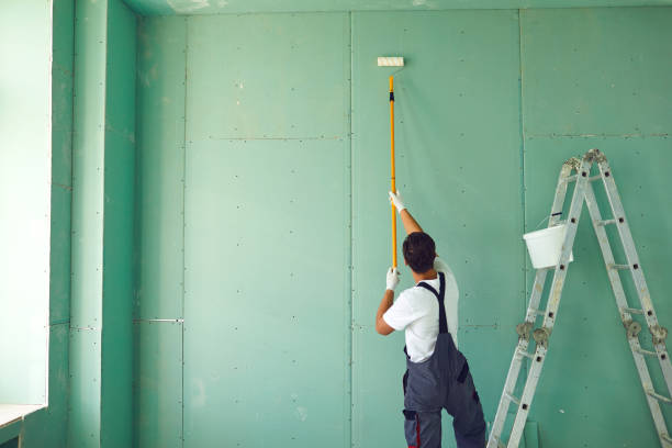  Holly Hill, FL Mold Removal Pros