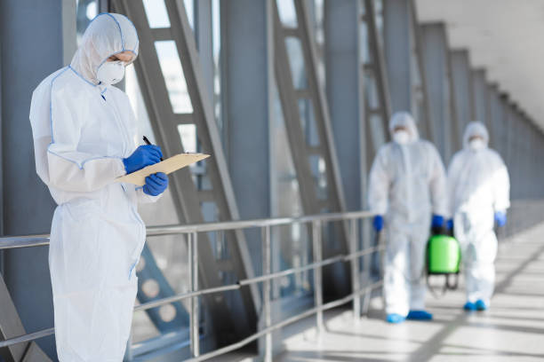Best Attic Mold Removal  in Holly Hill, FL