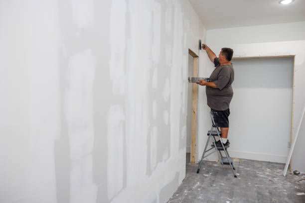Best Mold-Related Health Consultation  in Holly Hill, FL
