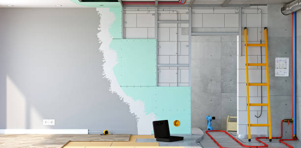 Best Industrial Mold Remediation  in Holly Hill, FL