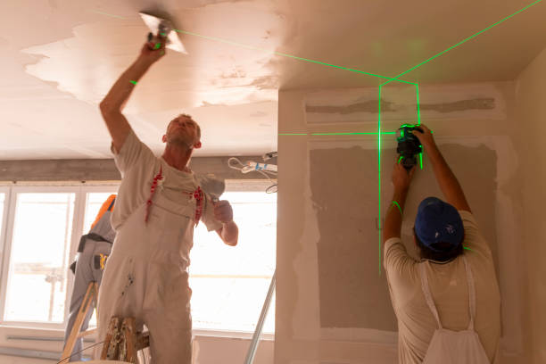 Professional Mold Removal in Holly Hill, FL
