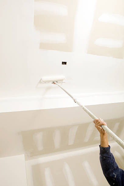 Best Comprehensive Air Testing for Mold Contaminants  in Holly Hill, FL