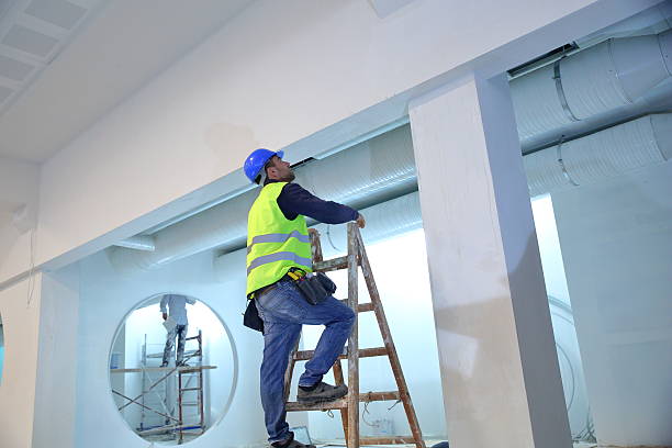 Best Airborne Mold Testing  in Holly Hill, FL
