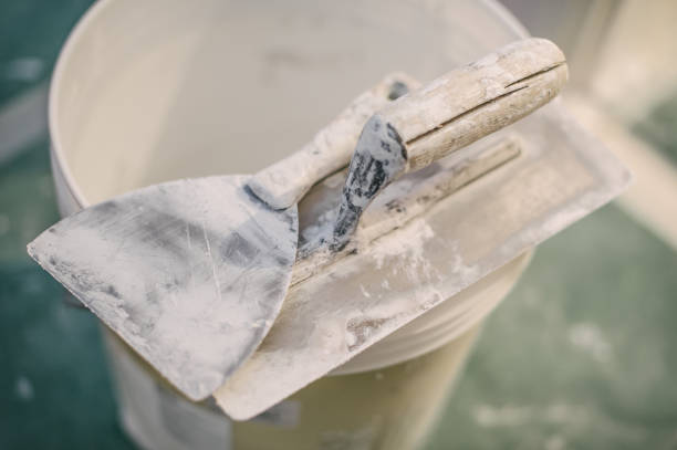 Best Mold Damage Restoration  in Holly Hill, FL