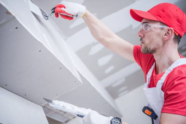 Best HVAC Mold Inspection and Cleaning  in Holly Hill, FL